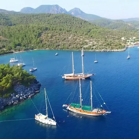 Cheerful 3 Bedroom * Milas