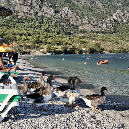 Cheerful 3 Bedroom Hébergement de vacances