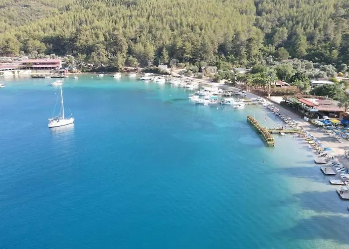 Cheerful 3 Bedroom *