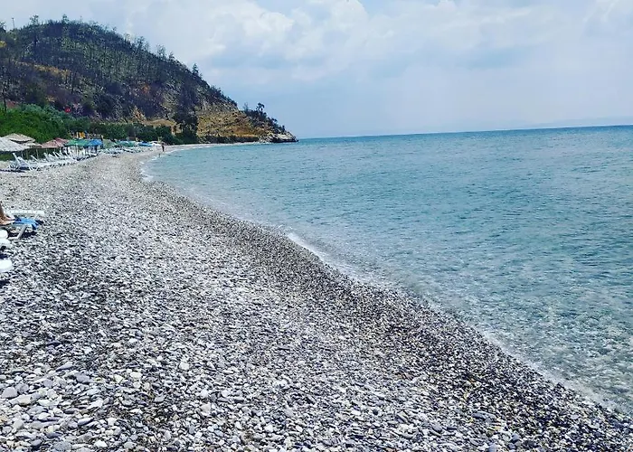 Cheerful 3 Bedroom * Milas