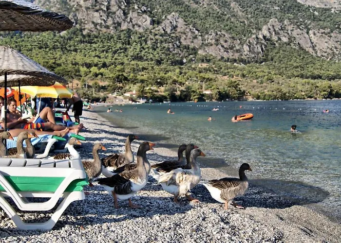 Cheerful 3 Bedroom Tatil Evi