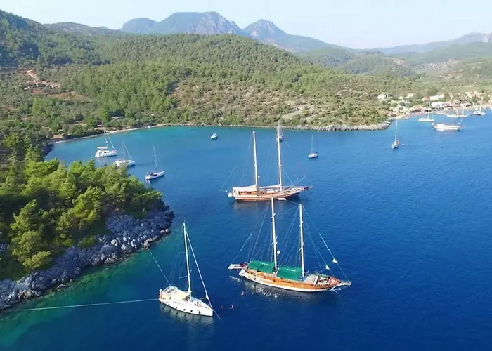 Cheerful 3 Bedroom * Milas